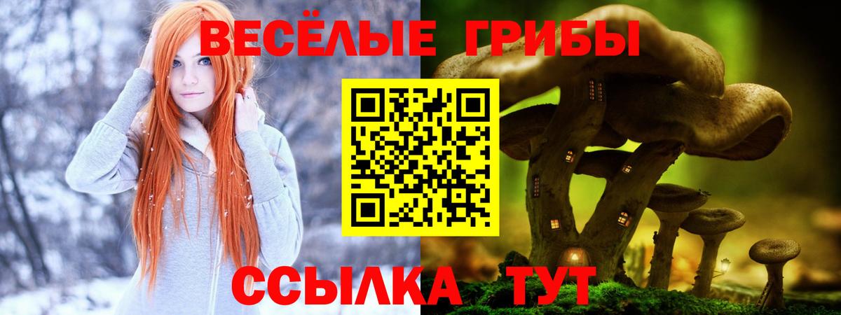 Орехово-Зуево  Галлюциногенные грибы Magic Shrooms  Вход с VPN 